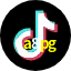 6a8pg TikTok